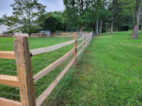 Cedar Split Rail Fence with Wire Mesh